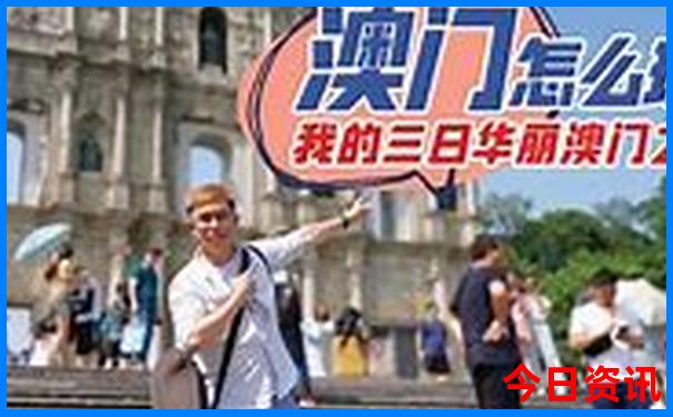 今晚请提供一个肖